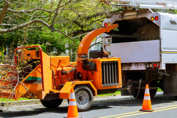 Best Emergency Tree Removal  in East Quincy, CA